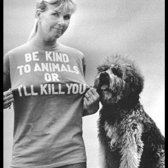 Not for sale— most of my pets, some who have passed over the Rainbow Bridge. 🥹 - Picture 16 of 16